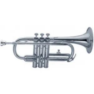 ACR 300 (Silver)