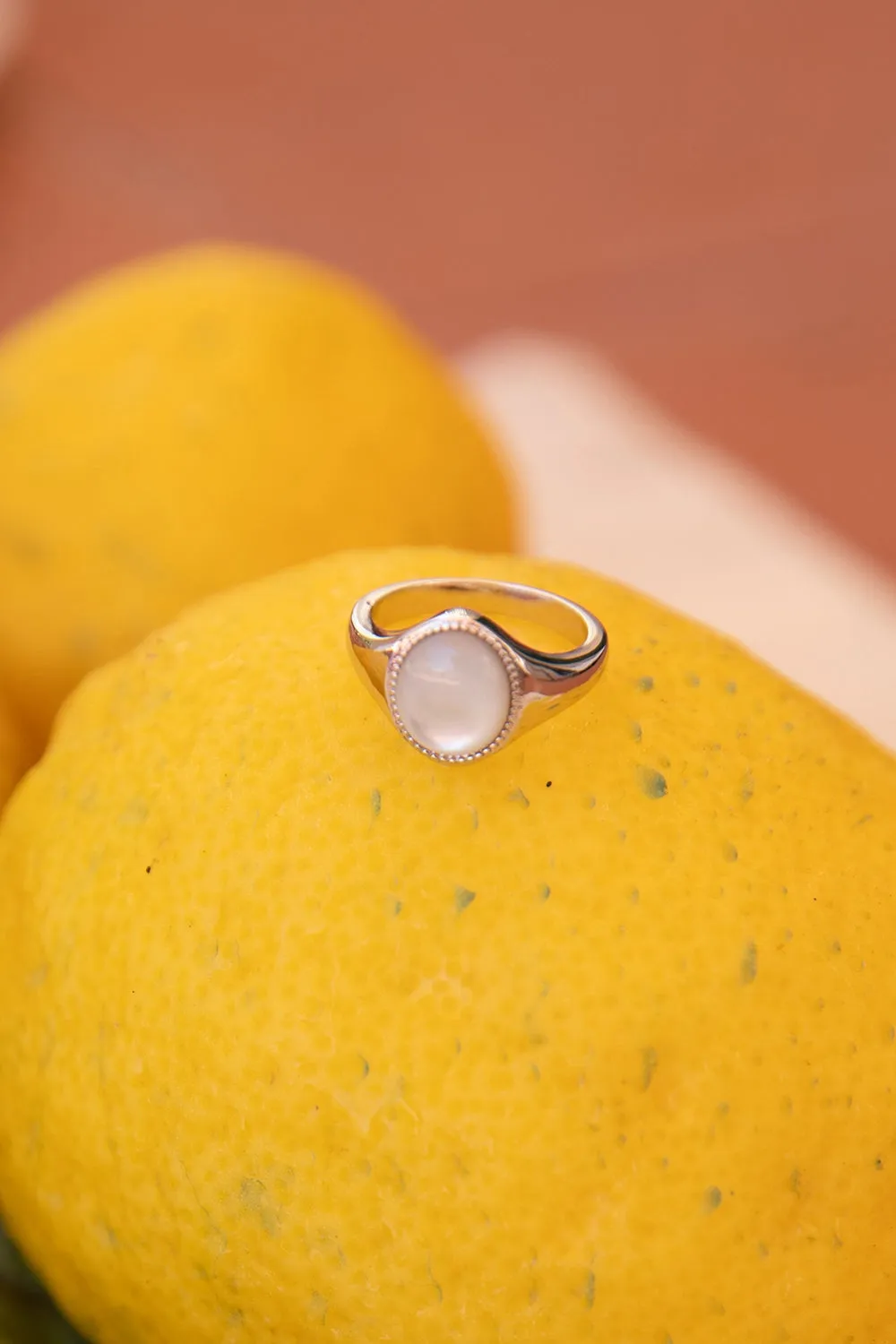 Amalfi Signet Ring Silver