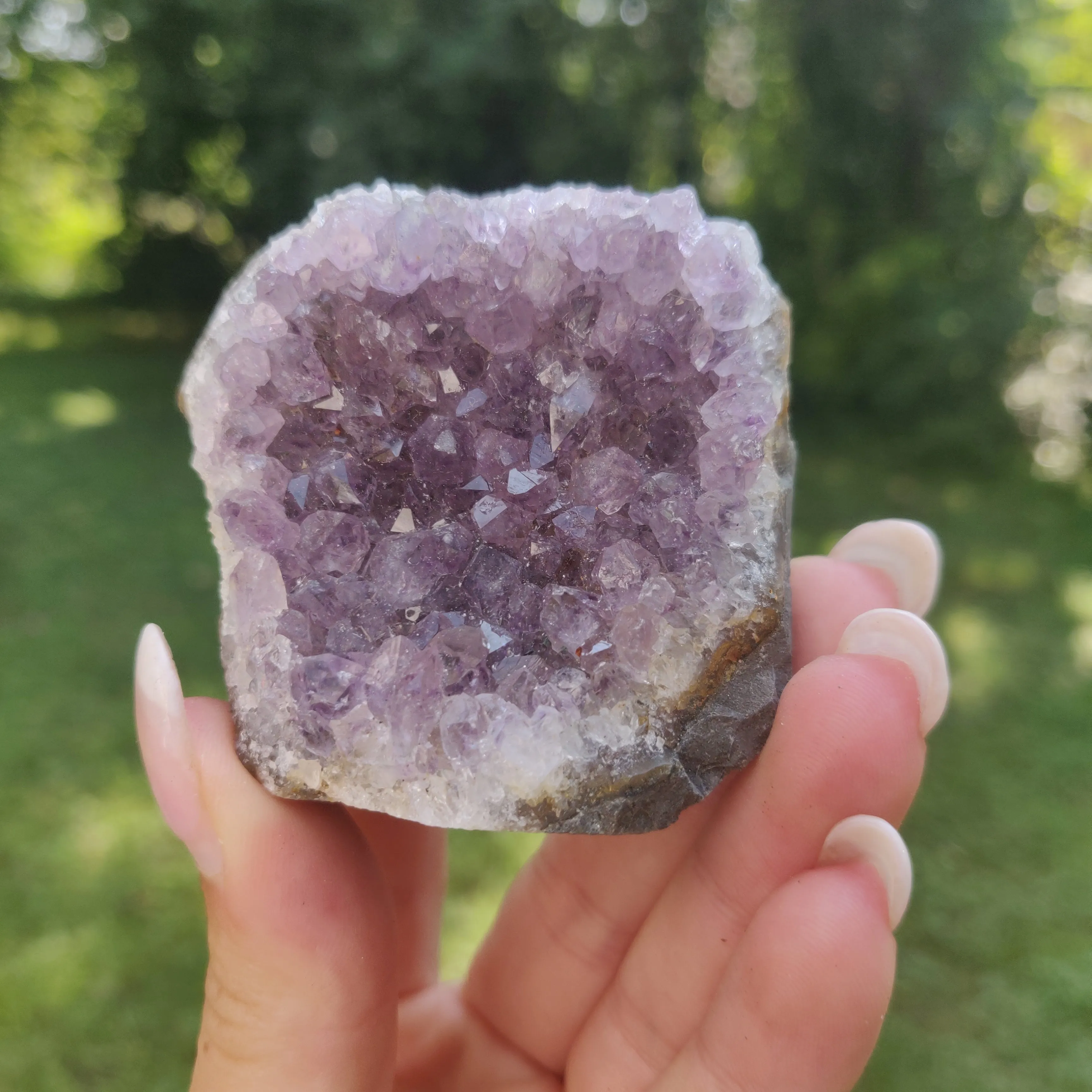 Amethyst Cluster (#7C)
