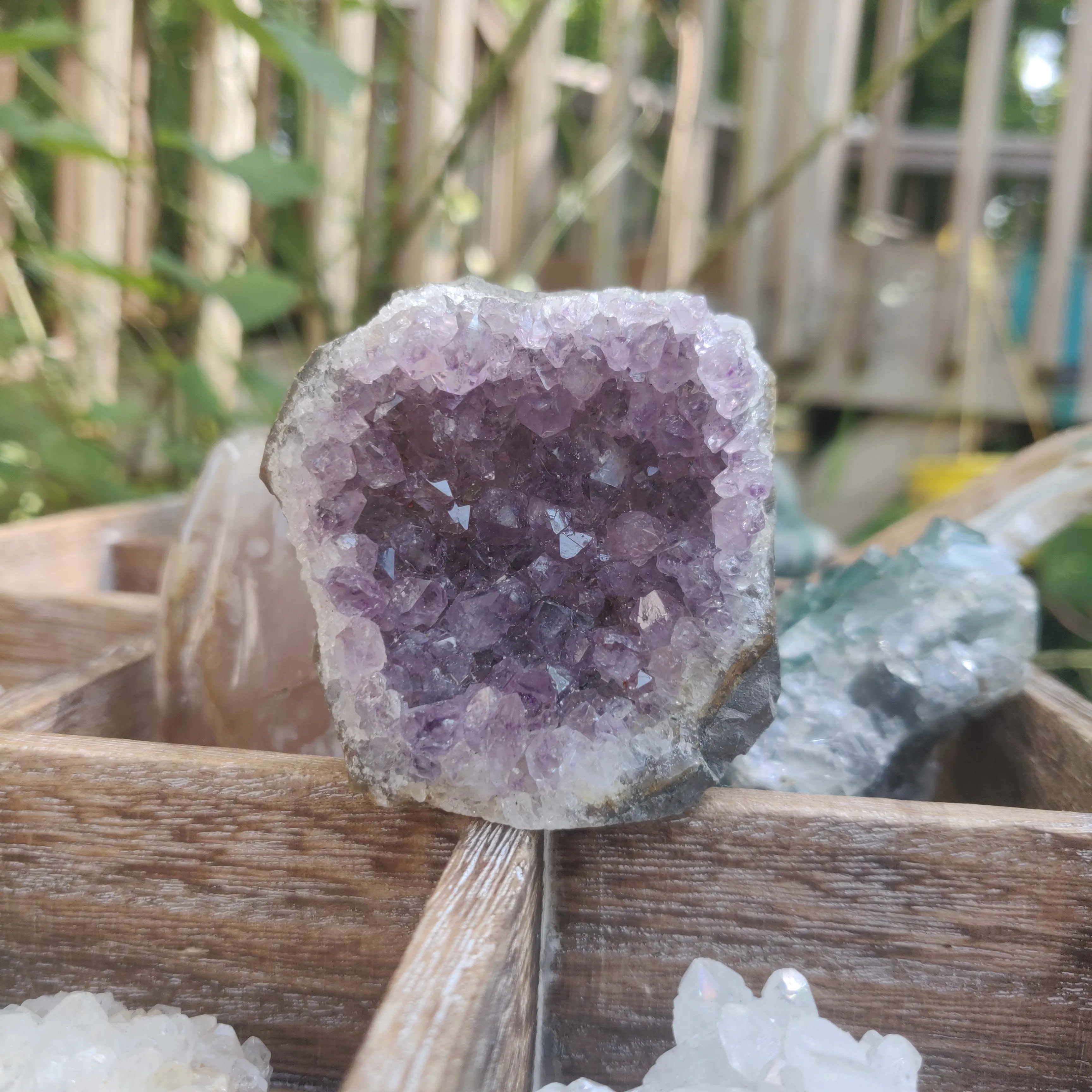 Amethyst Cluster (#7C)