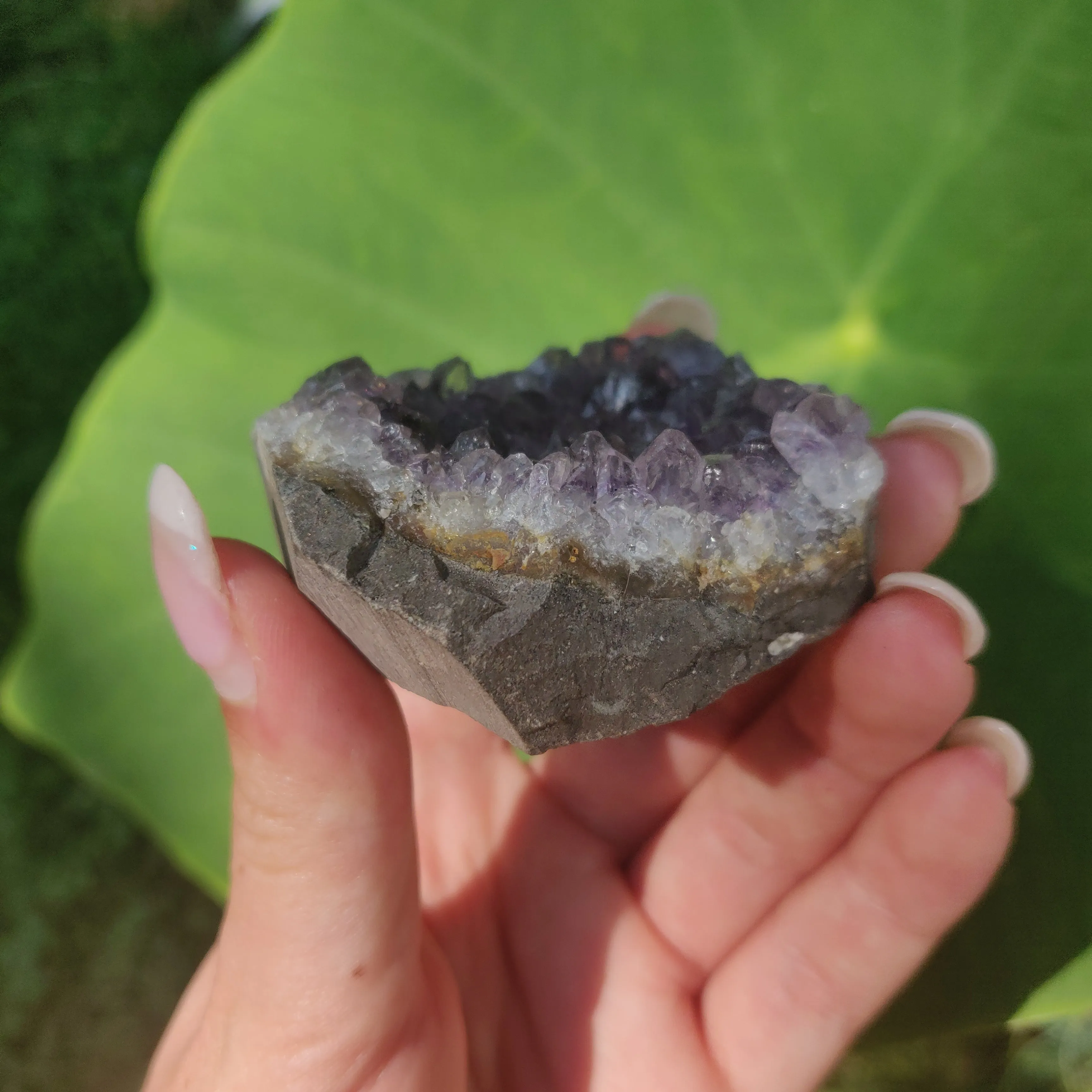 Amethyst Cluster (#7C)