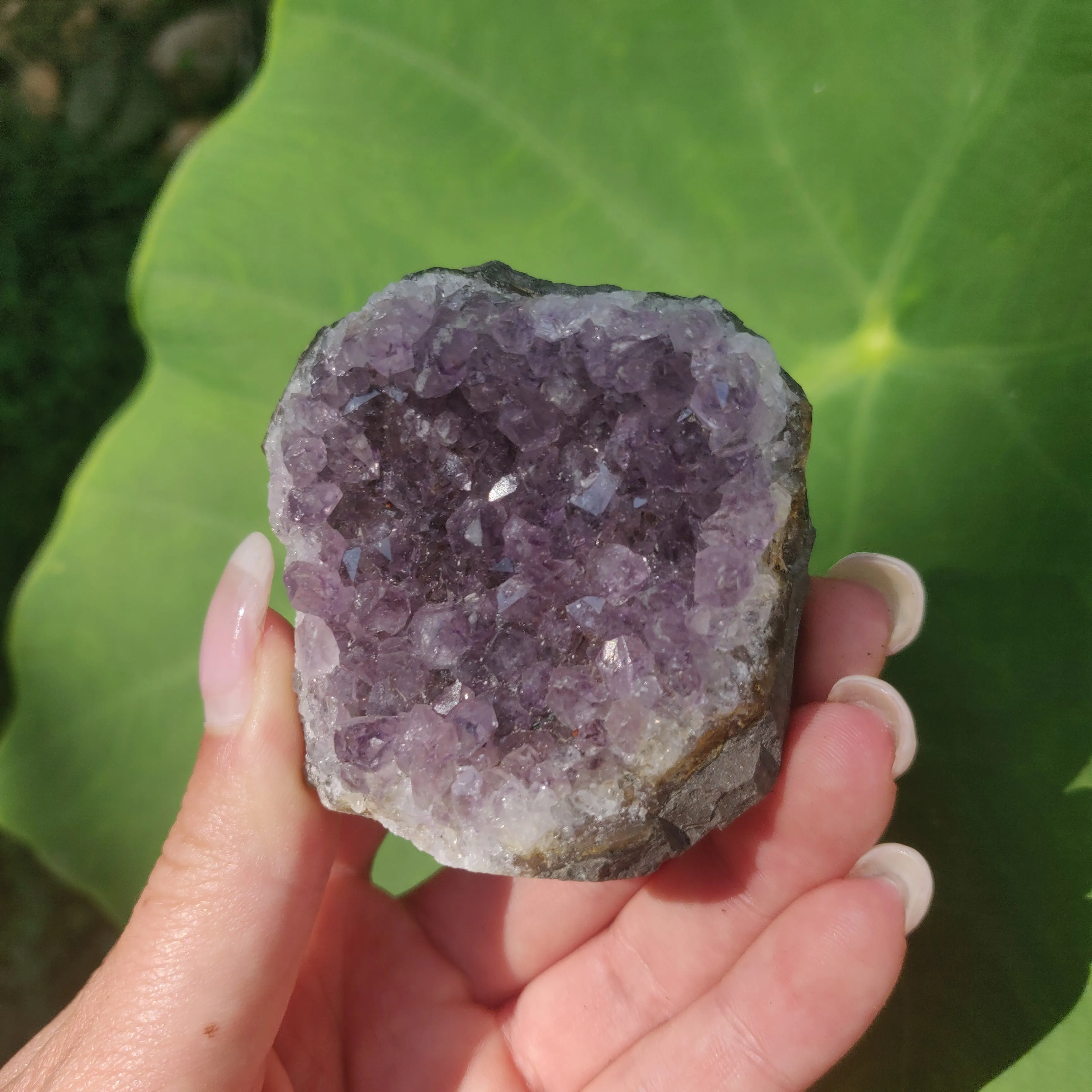Amethyst Cluster (#7C)