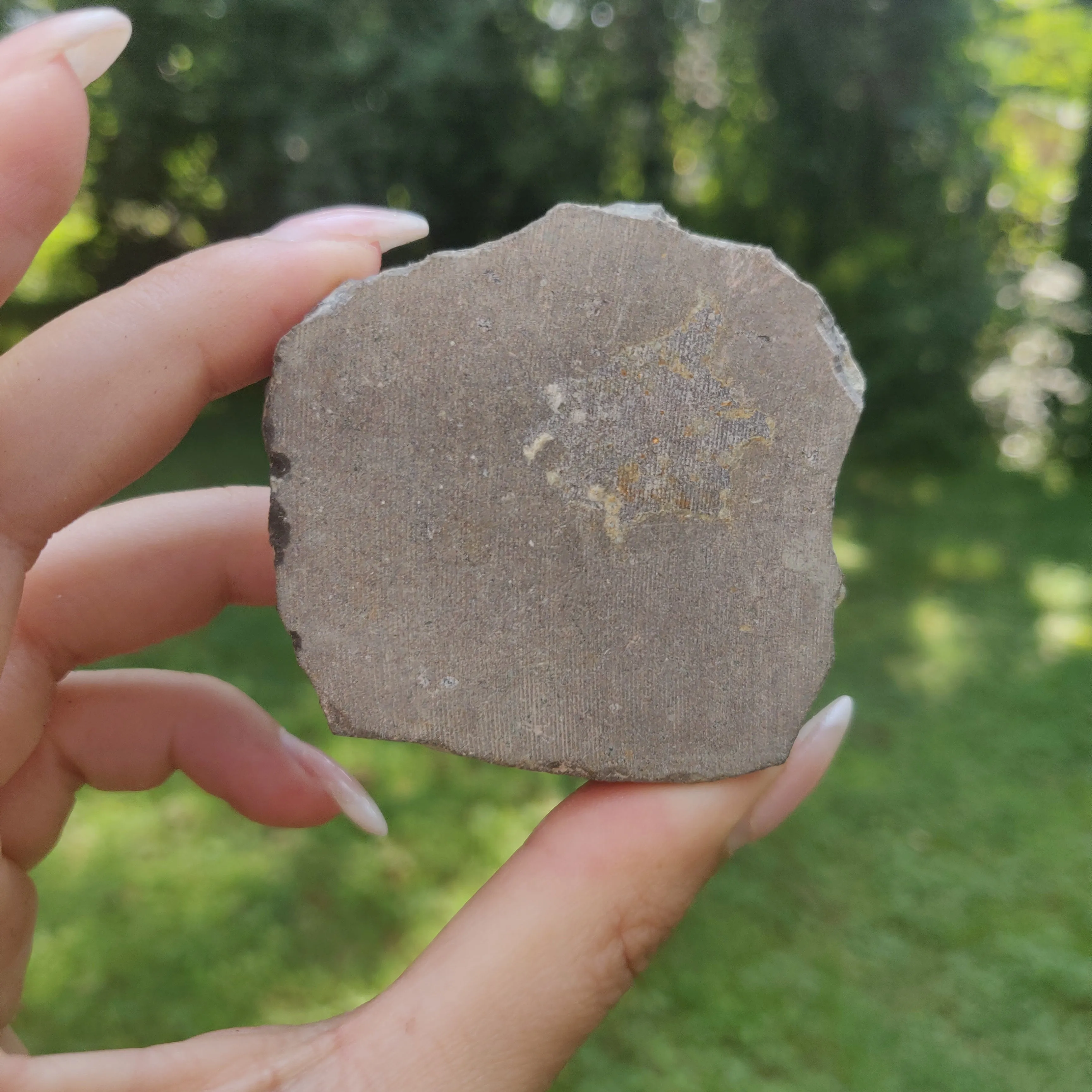 Amethyst Cluster (#7C)