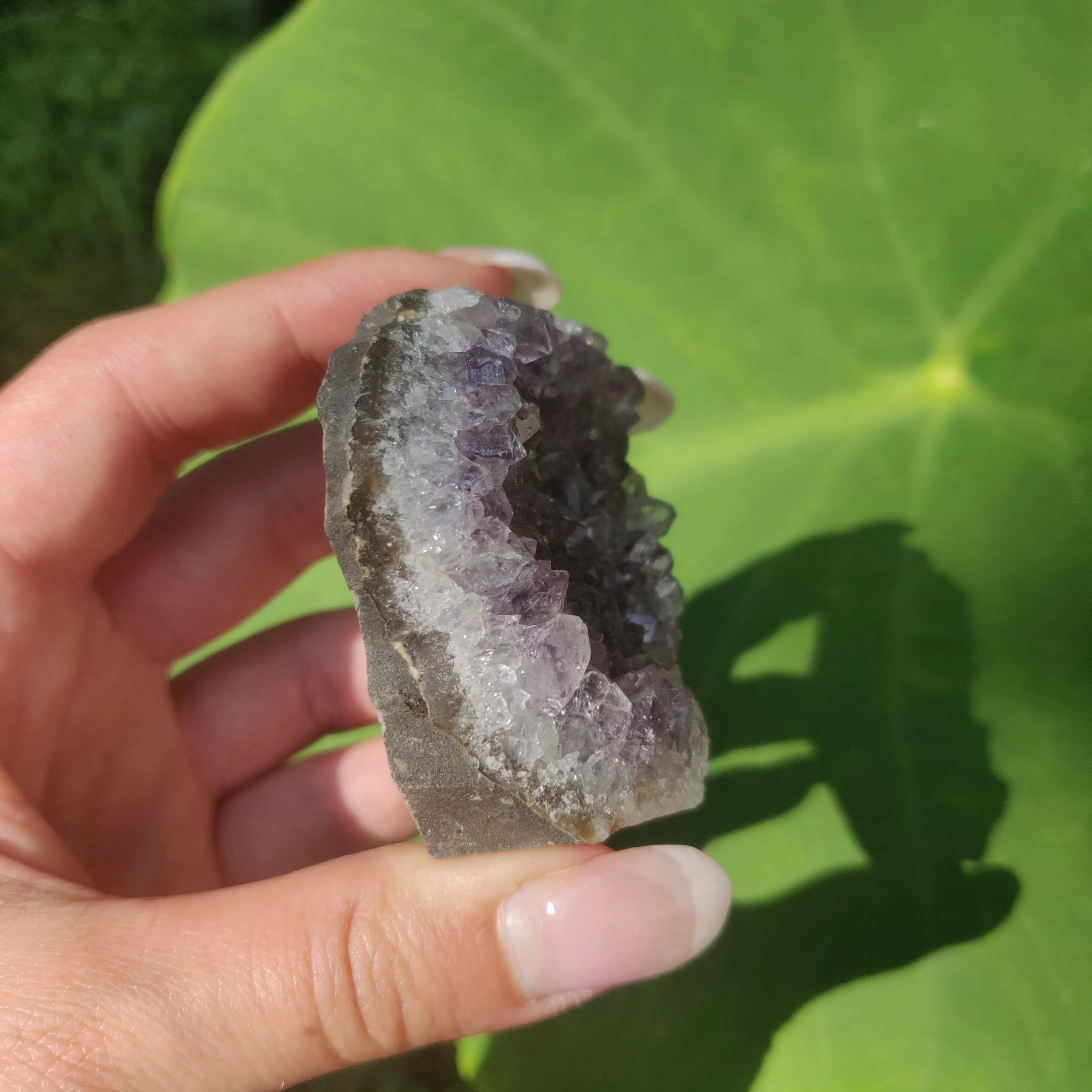 Amethyst Cluster (#7C)