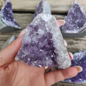 Amethyst Geode Free Form, Cut Base (#13)