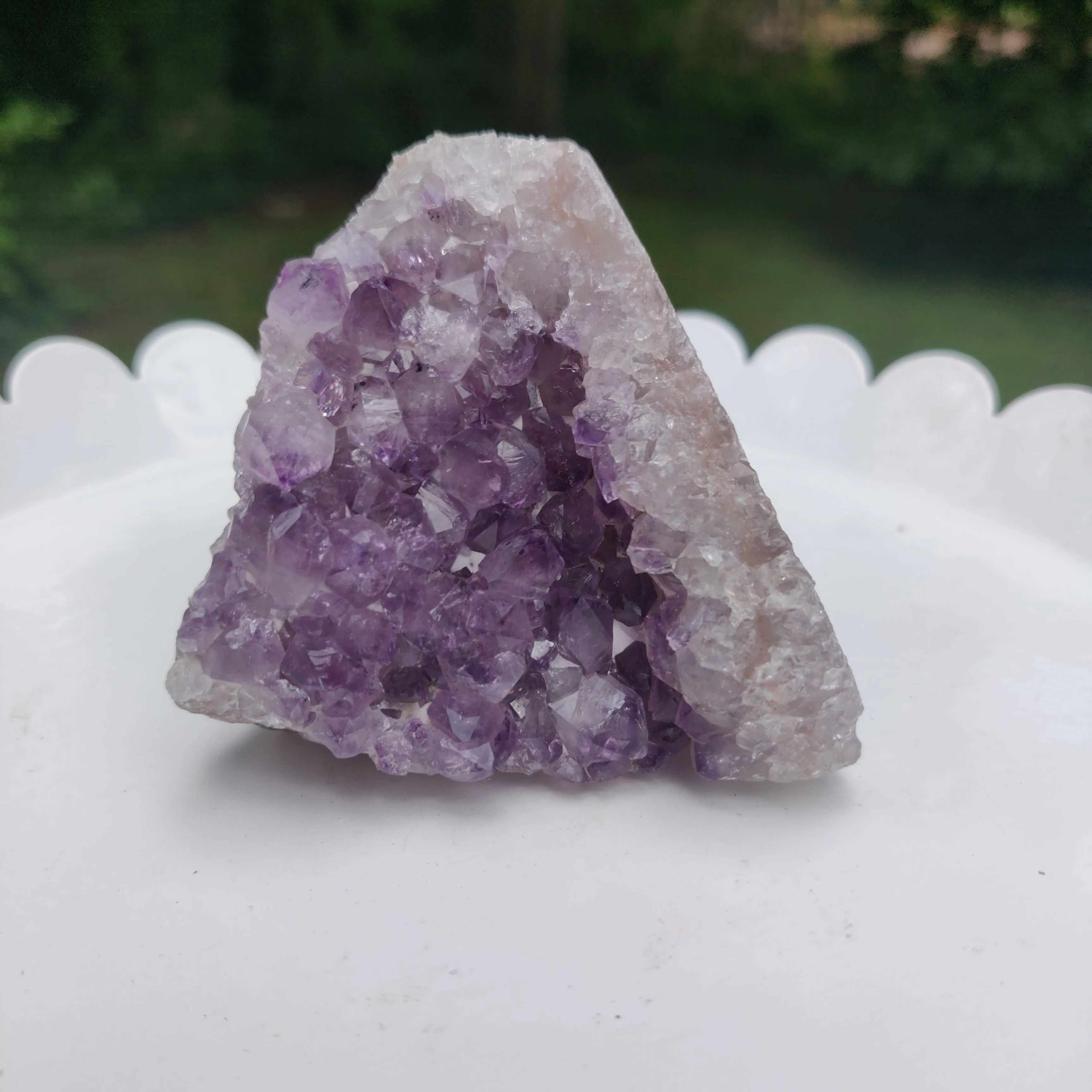 Amethyst Geode Free Form, Cut Base (#13)