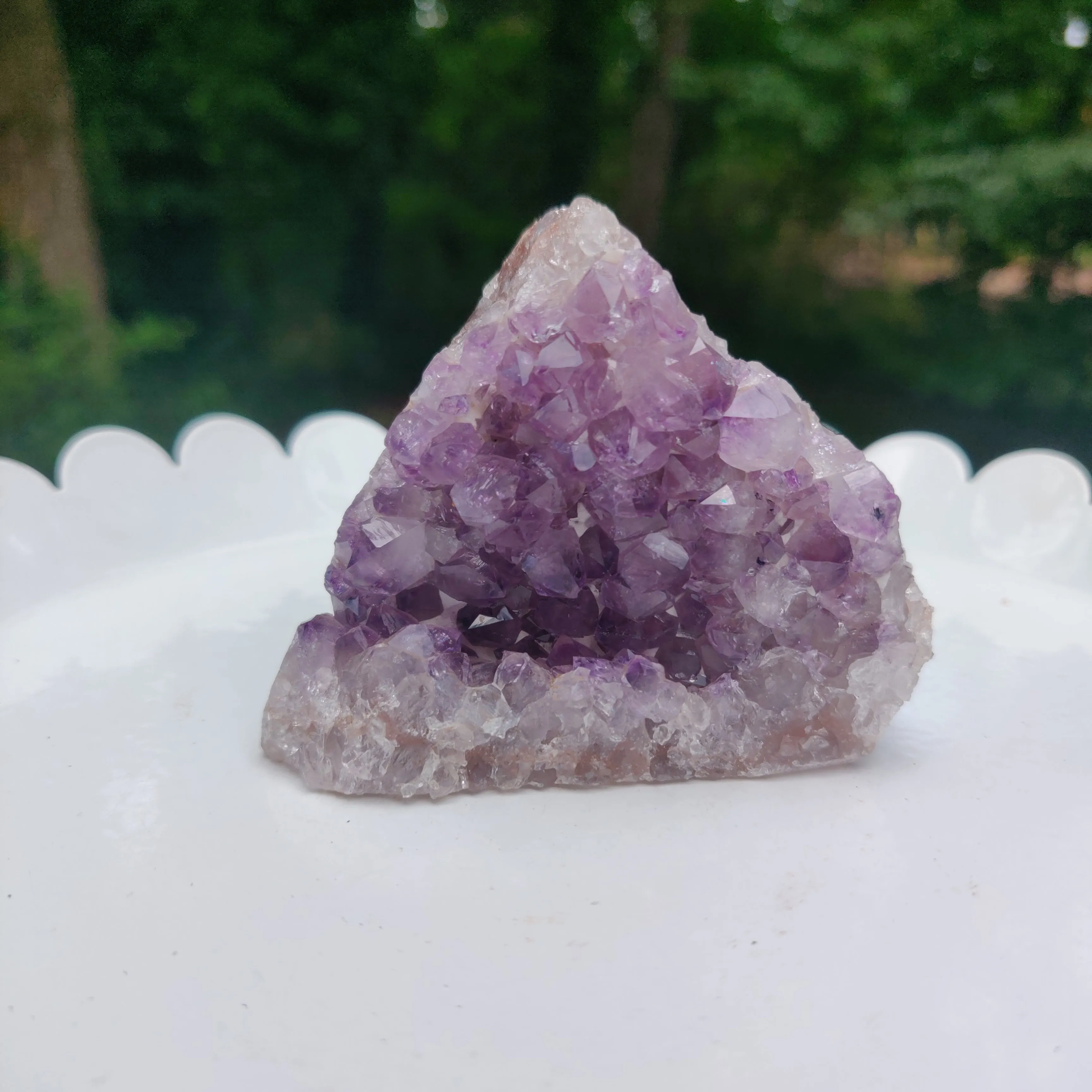 Amethyst Geode Free Form, Cut Base (#13)