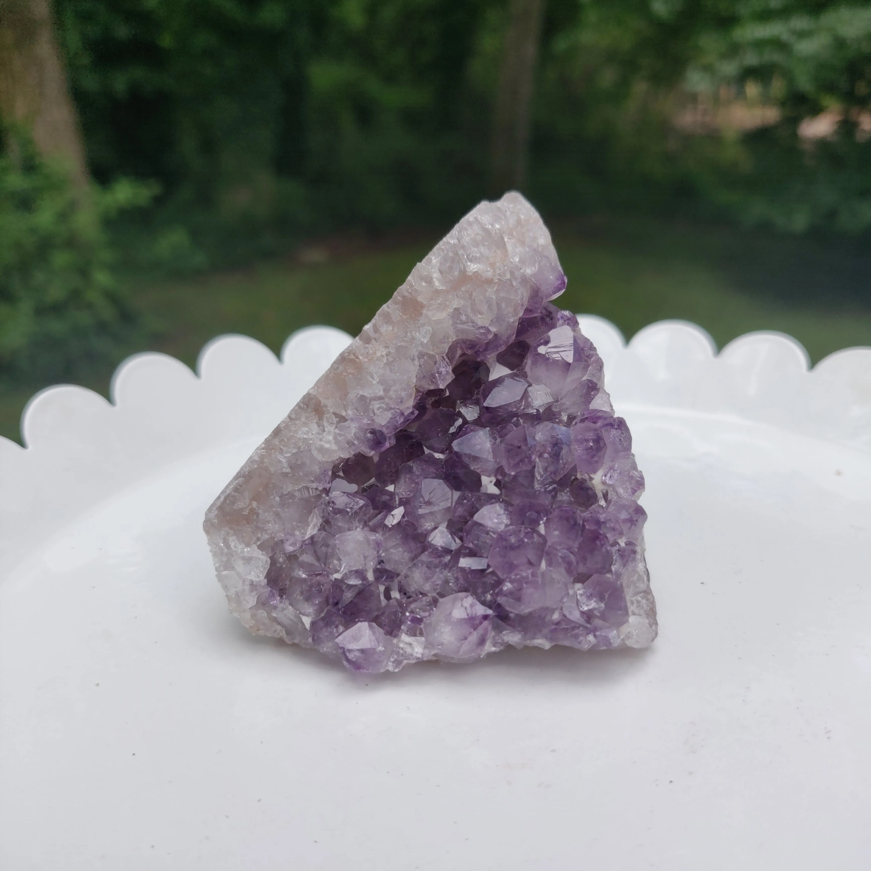 Amethyst Geode Free Form, Cut Base (#13)