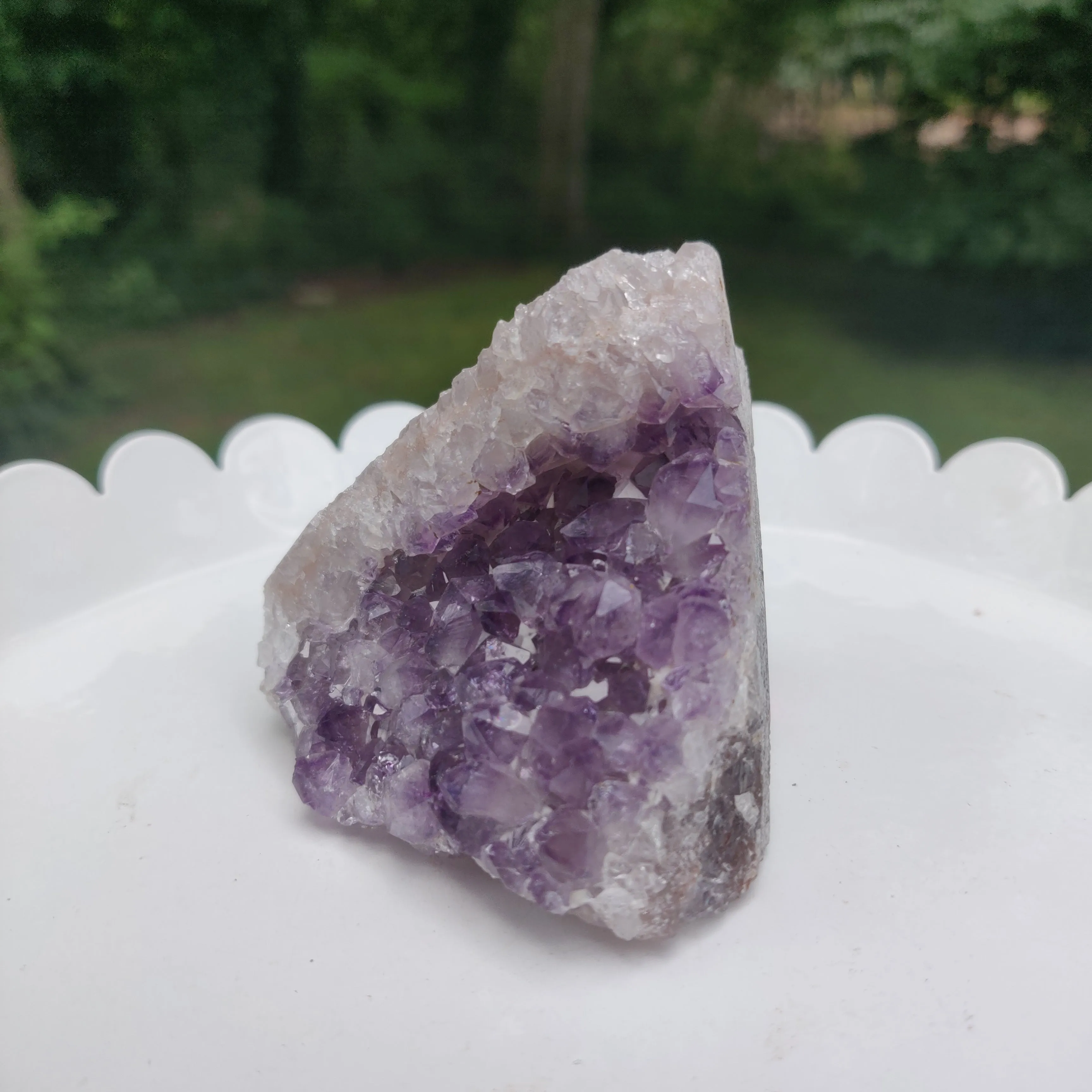 Amethyst Geode Free Form, Cut Base (#13)