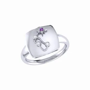 Aquarius Water-Bearer Amethyst & Diamond Constellation Signet Ring in Sterling Silver