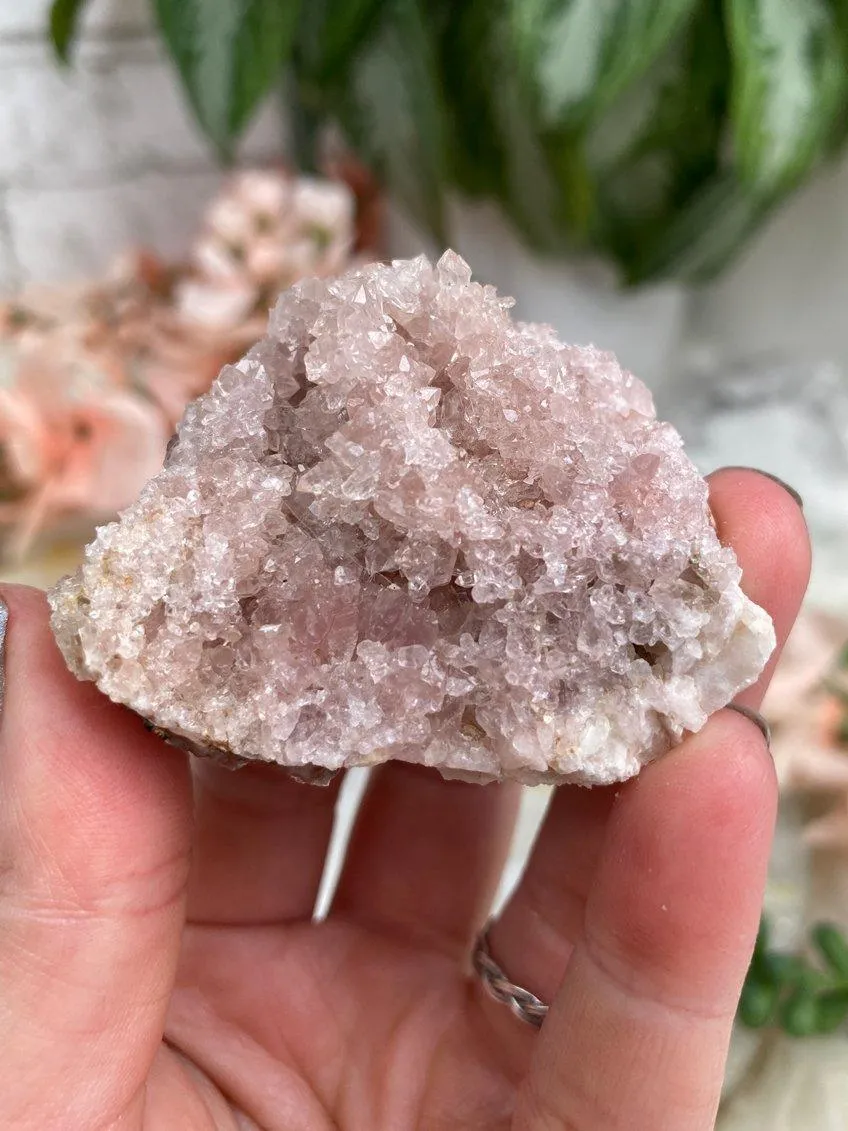 Argentinian Pink Amethyst Geodes