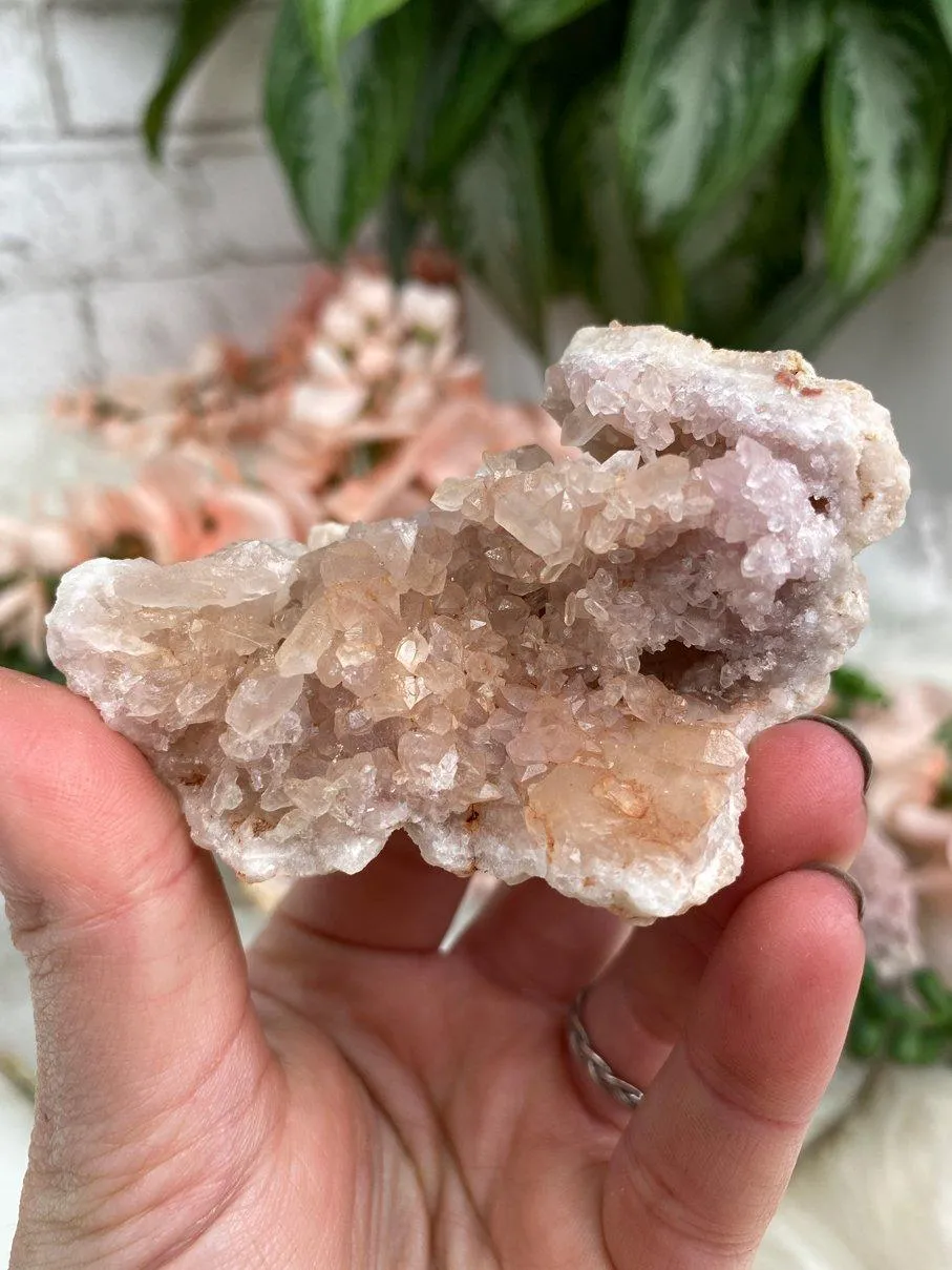 Argentinian Pink Amethyst Geodes