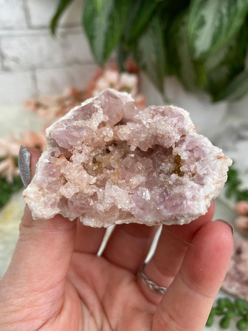Argentinian Pink Amethyst Geodes