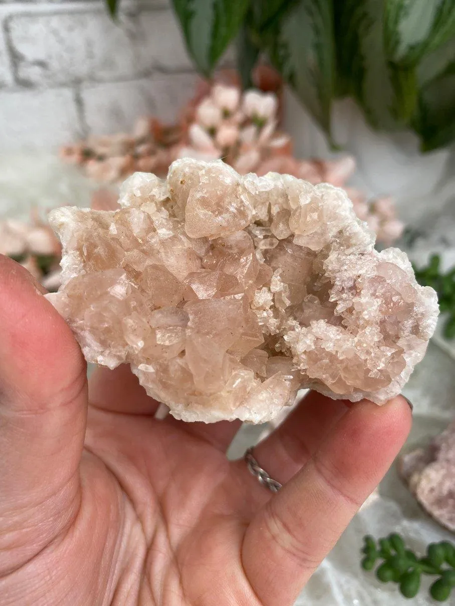 Argentinian Pink Amethyst Geodes