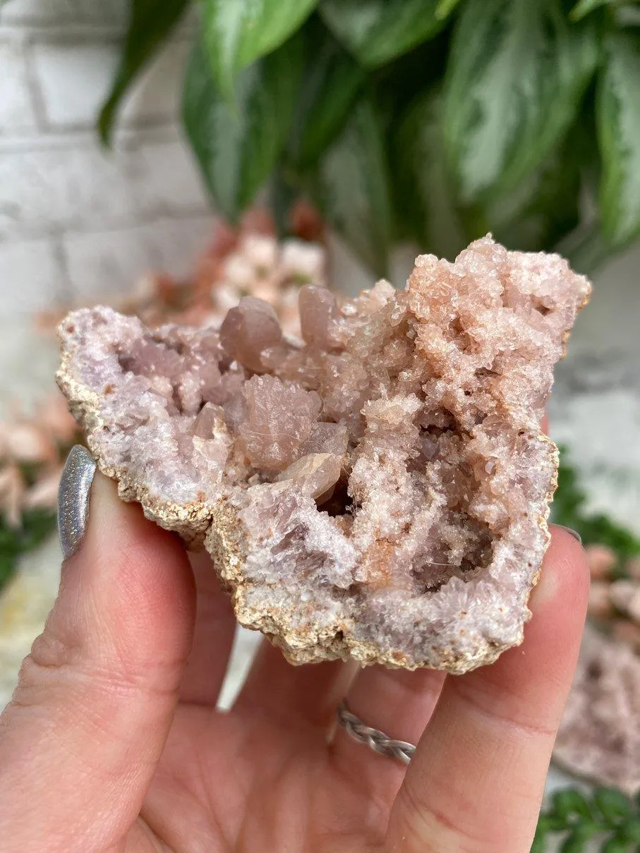 Argentinian Pink Amethyst Geodes