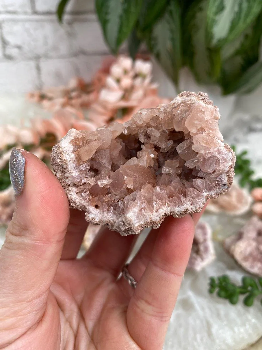 Argentinian Pink Amethyst Geodes