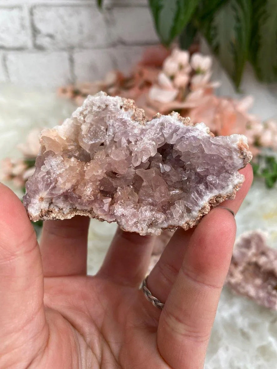 Argentinian Pink Amethyst Geodes