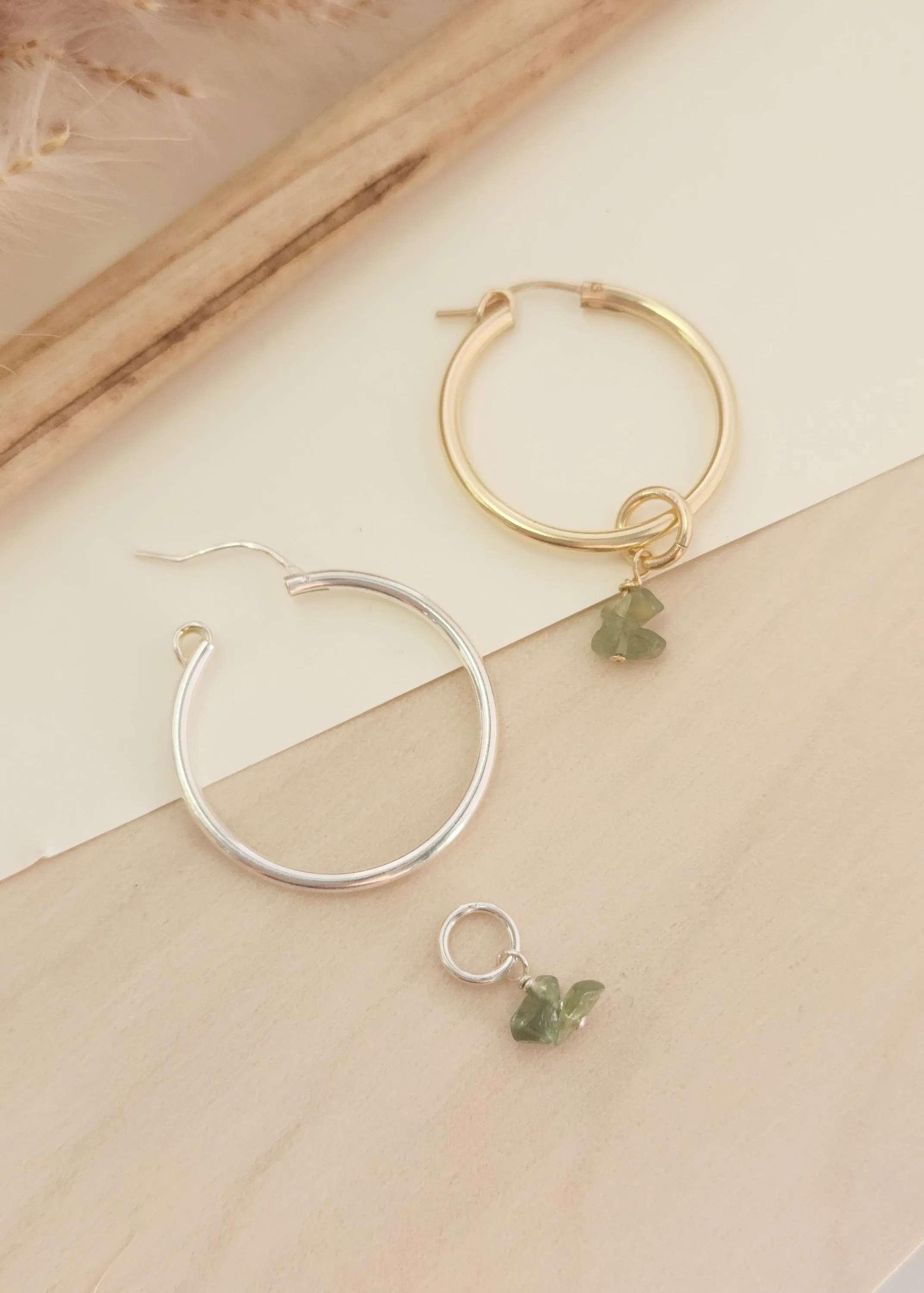 Color Envy Earring Hoop Charms