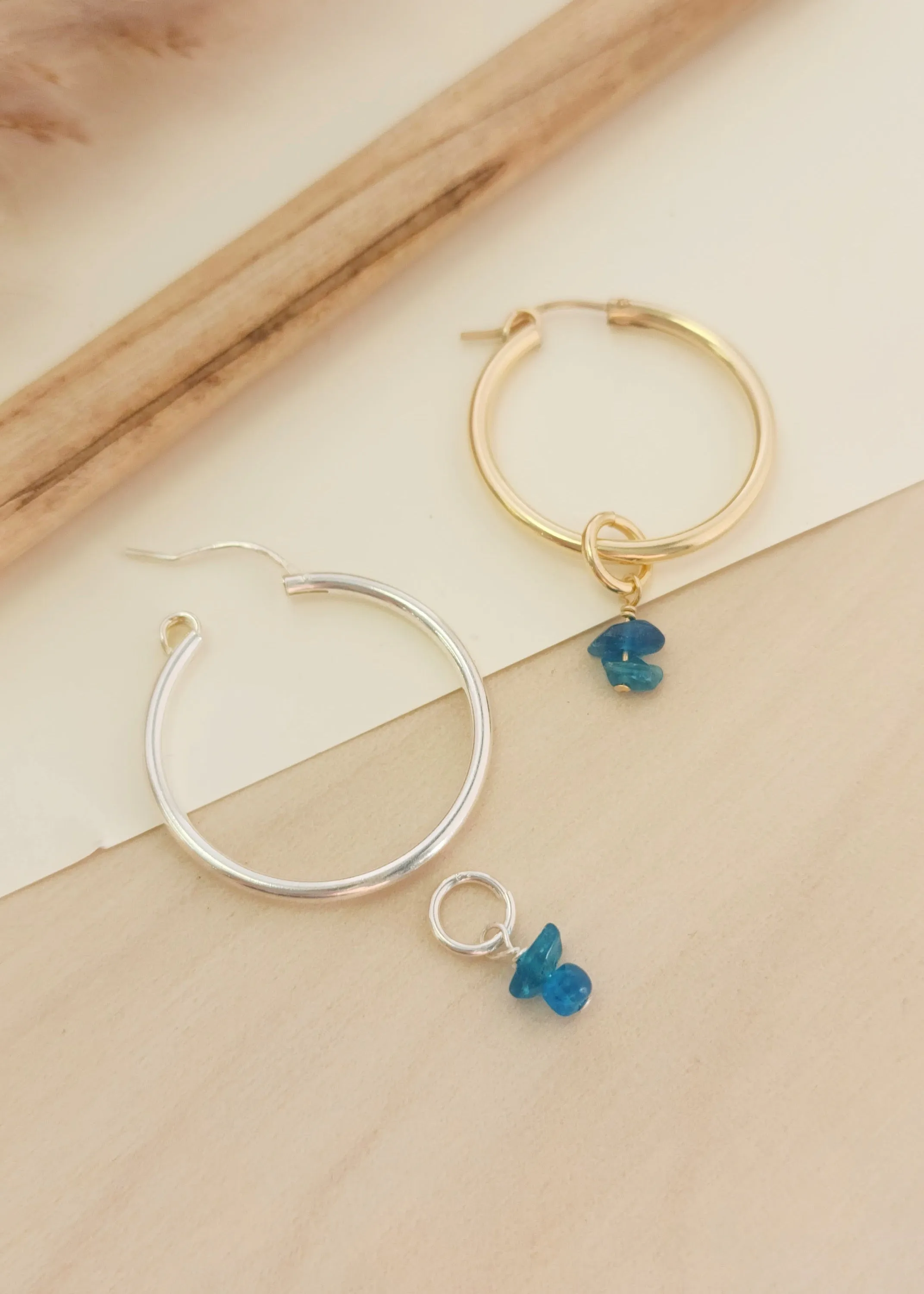 Color Envy Earring Hoop Charms