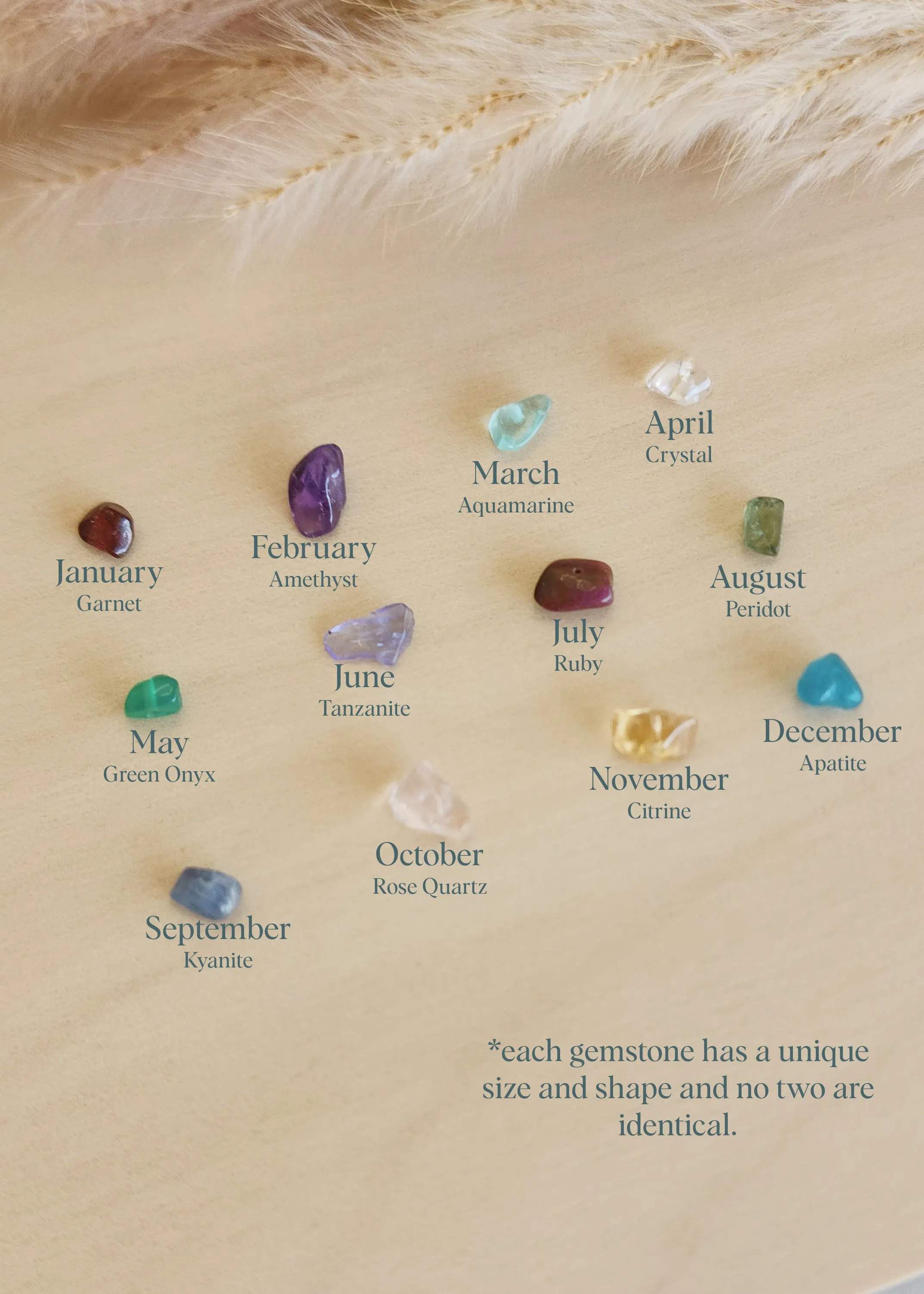 Color Envy Earring Hoop Charms