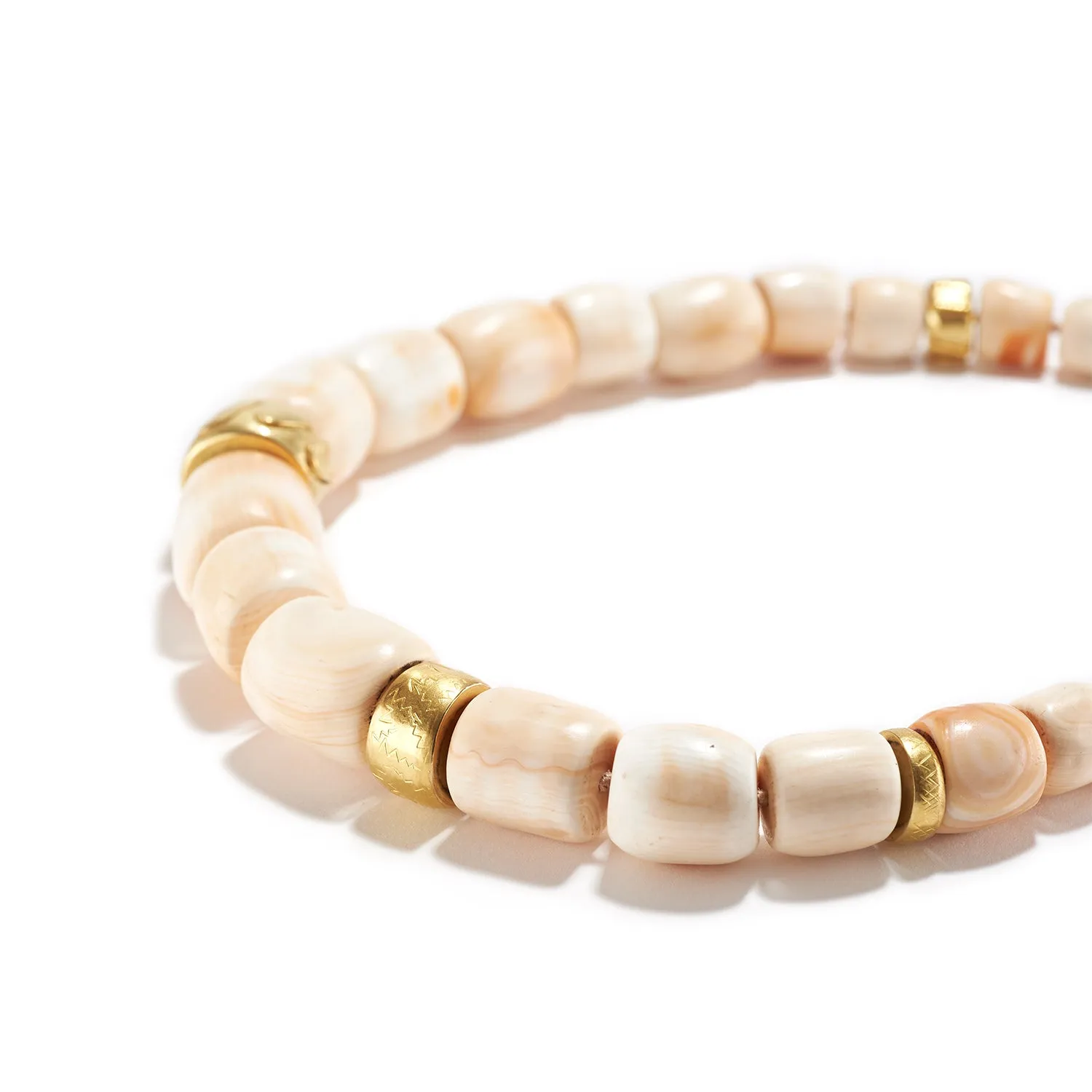 Conch Shell Necklace