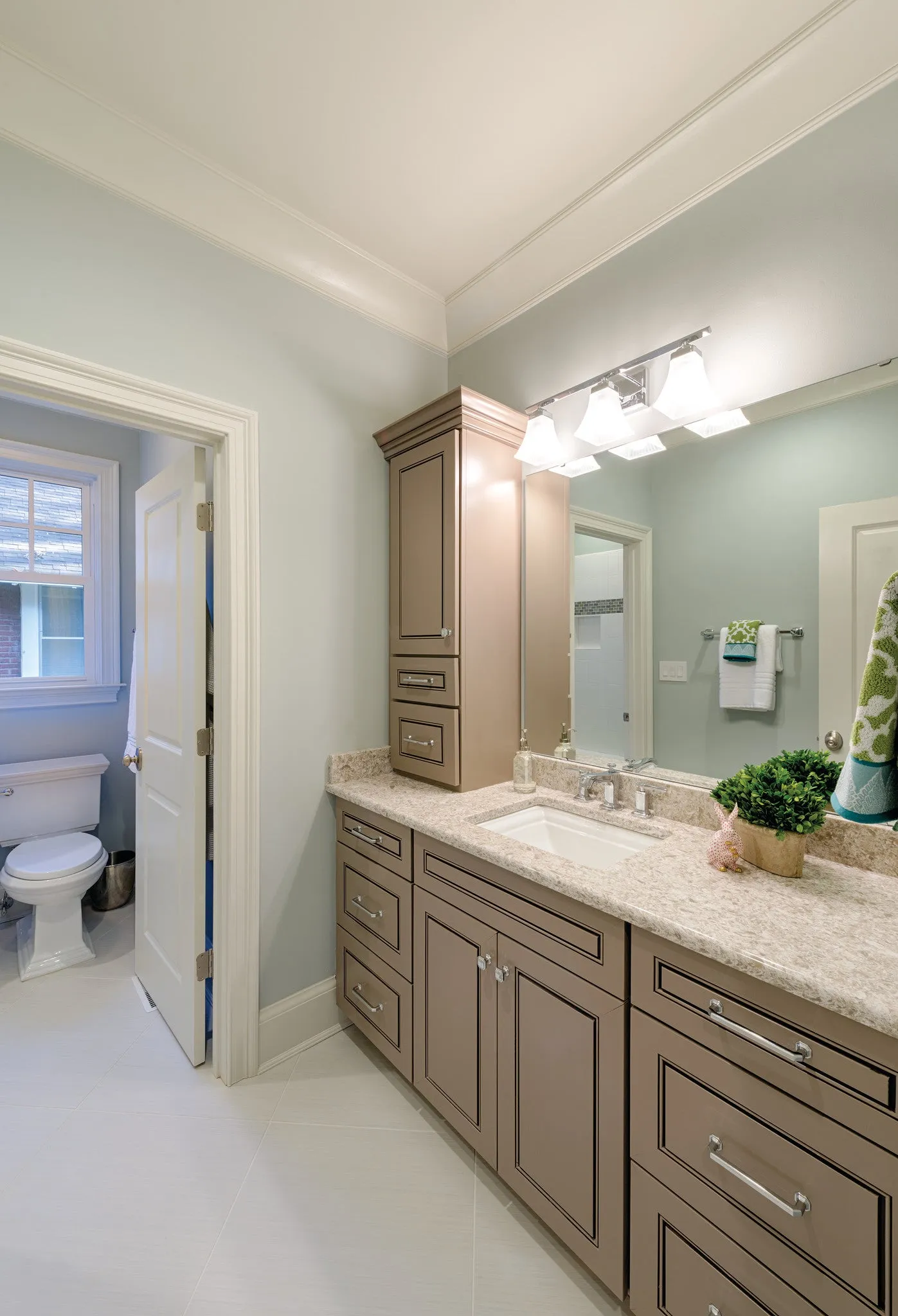 Crown Moulding