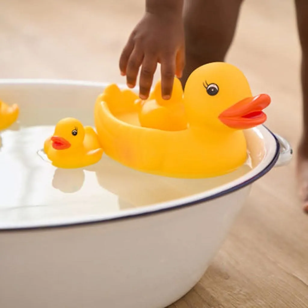 Elegant Baby Duck