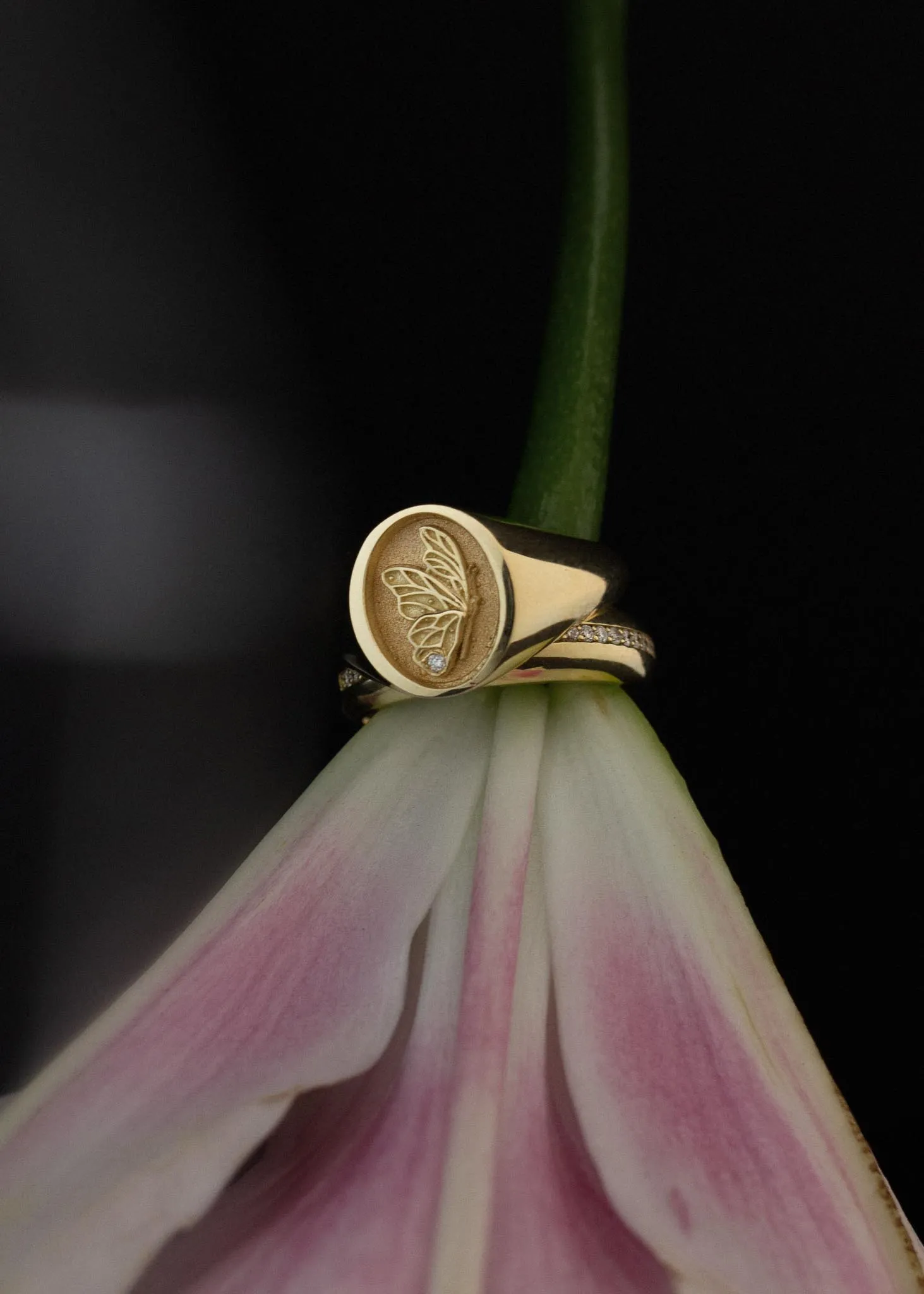 Juliette Butterfly Signet Ring