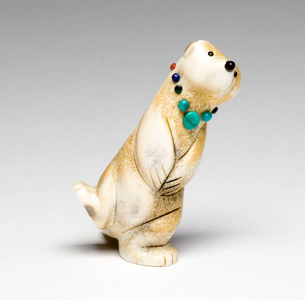 Playful Otter
