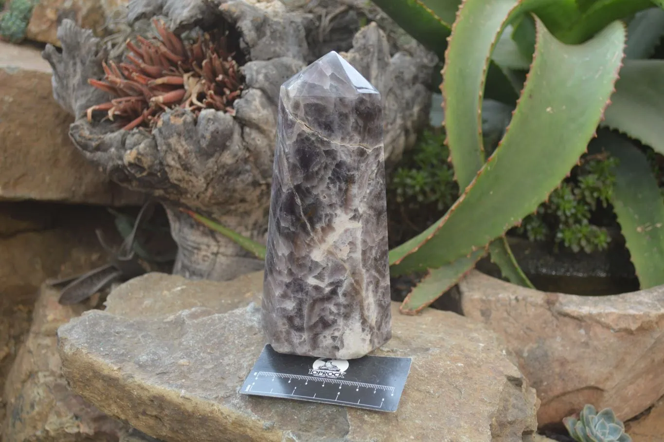 Polished Smokey Chevron Amethyst Point-Prism x 1 From Madagascar