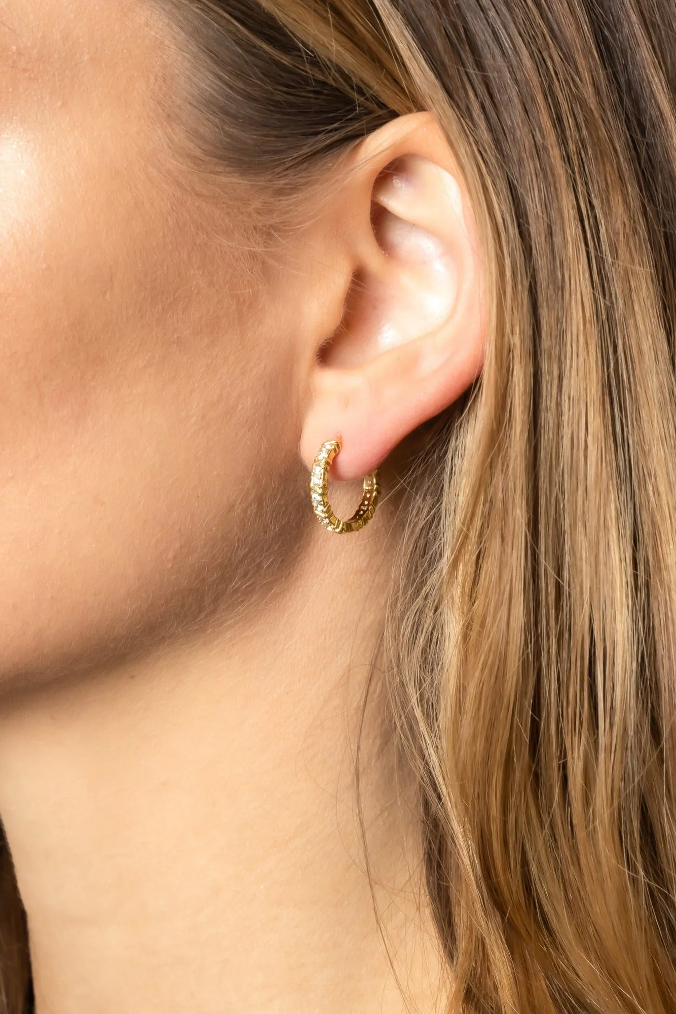 SJE310183 14K Gold Dipped CZ Paved Hoop Earrings