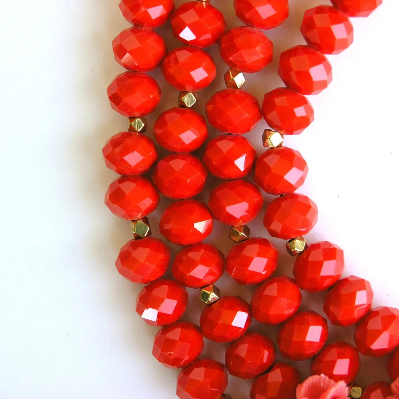 V is for Vivid Blooms